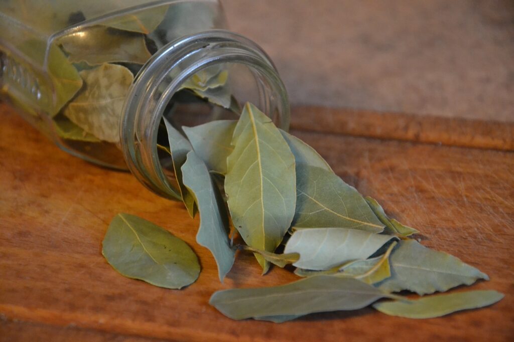 Cómo conservar el Laurel