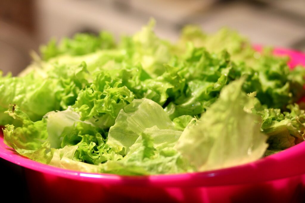 Cómo conservar la lechuga