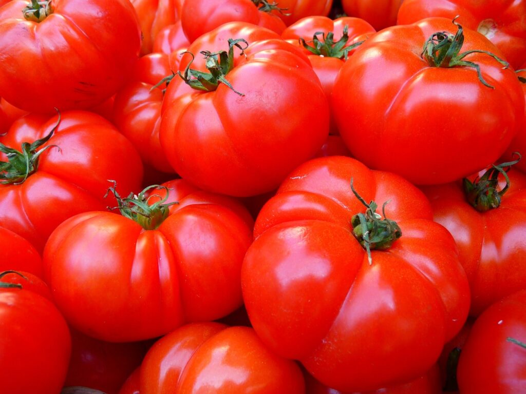 Cómo conservar tomates