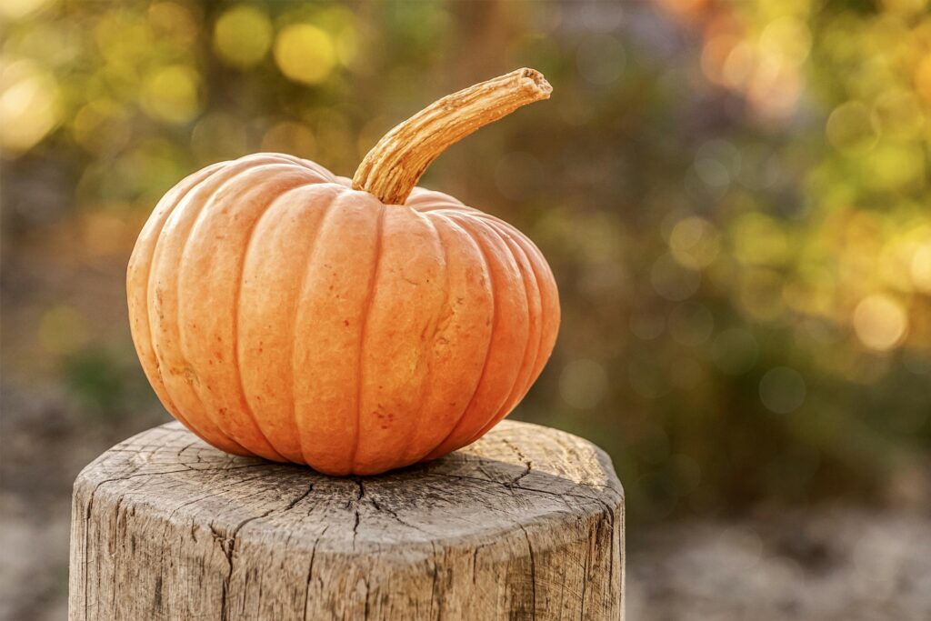 Cómo conservar calabaza
