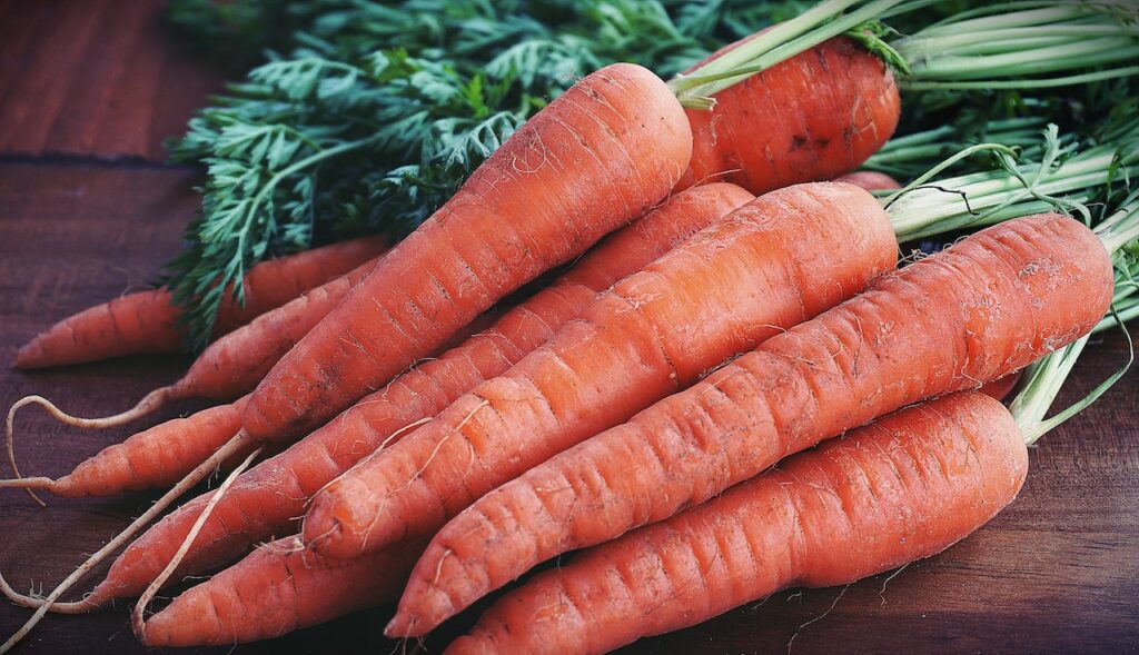 Cómo conservar zanahorias